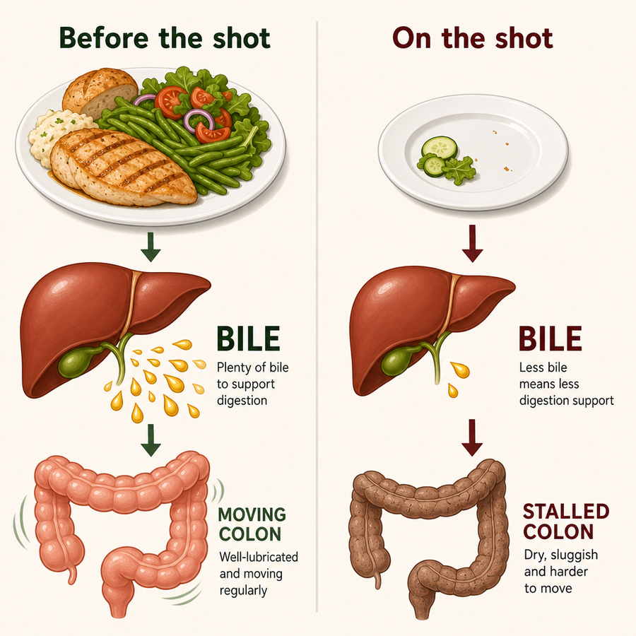 Diagram showing how less food leads to less bile and constipation on GLP-1