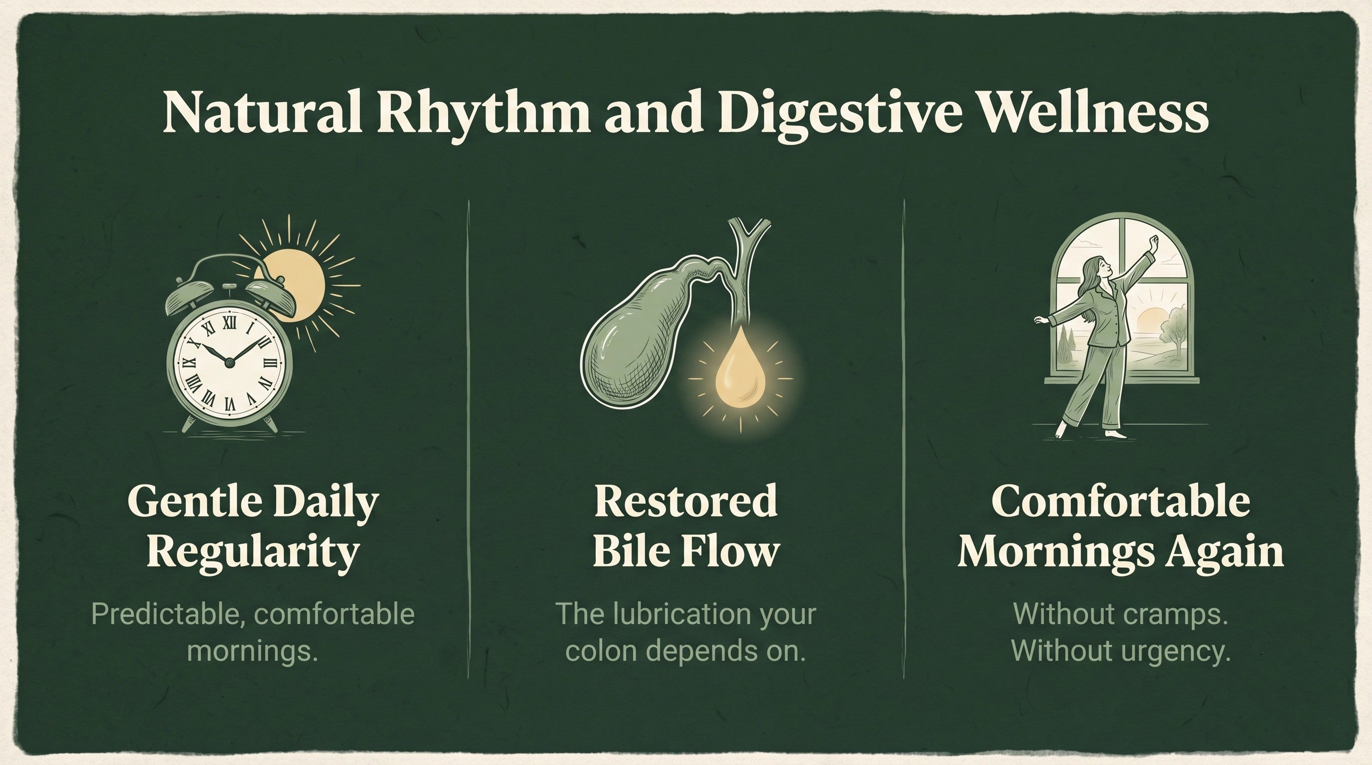 Three botanical ingredients: Milk Thistle, Artichoke Leaf, and Dandelion Root