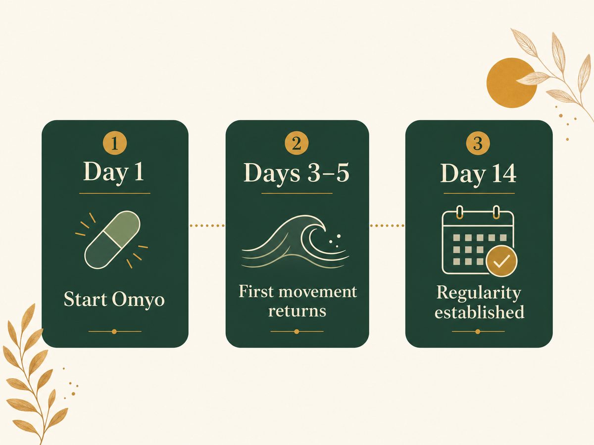 Day-by-day timeline: Day 1 start Omyo, Days 3-5 first movement, Day 14 regularity established